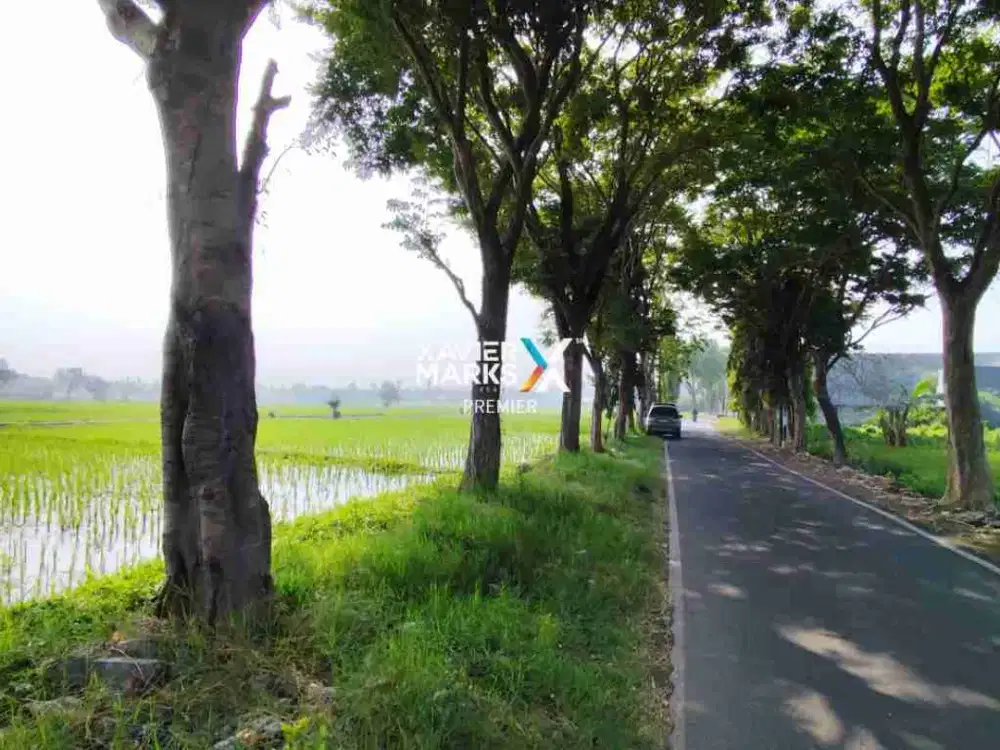 Dijual Tanah Pinggir Jalan Tasikmadu Kota Malang Zona Kuning