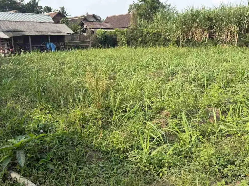 Dijual Lahan Tanah Pertanian Di Desa.Kasembon Di Bululawang Malang