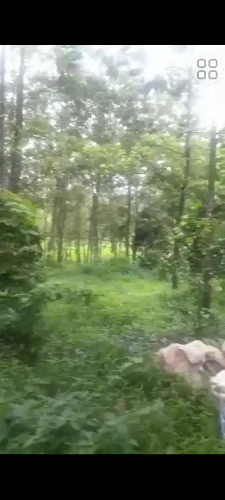 Dijual tanah di Kel.Kalijati Timur, kabupaten Subang, Jawa Barat