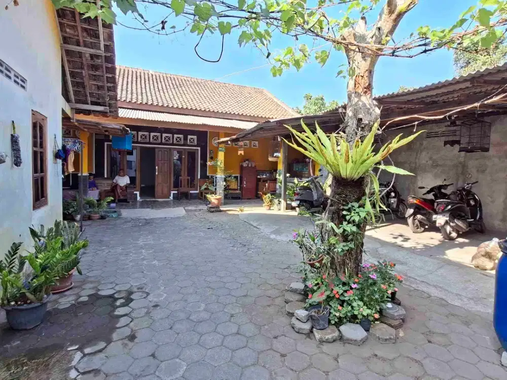 Dijual kost aktif dengan tanah luas murah dibelakang kampus uii kaliurang