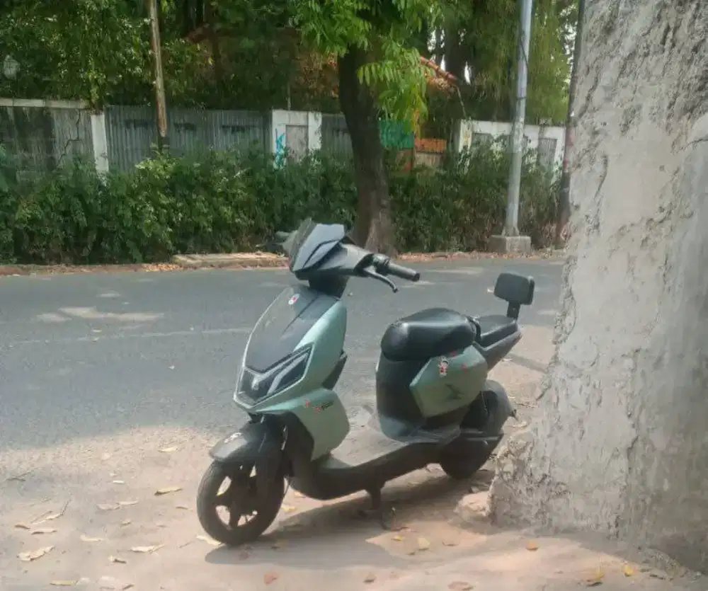 Selis uwinfly D66A