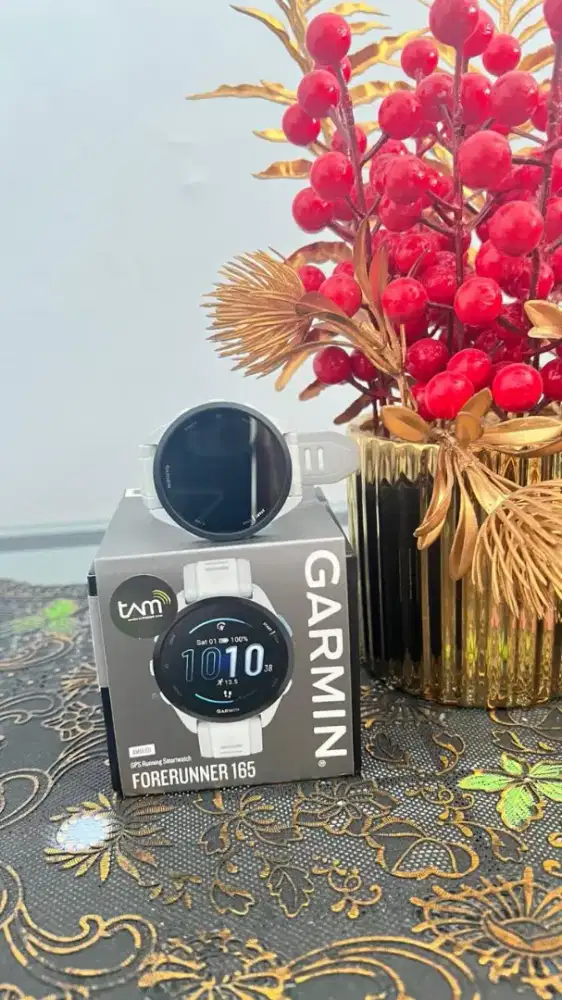 Jam garmin forerunner 165