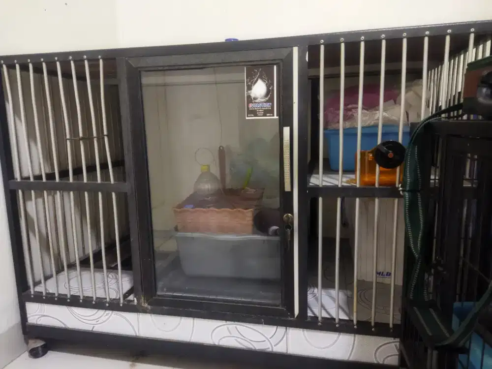 Kandang kucing second