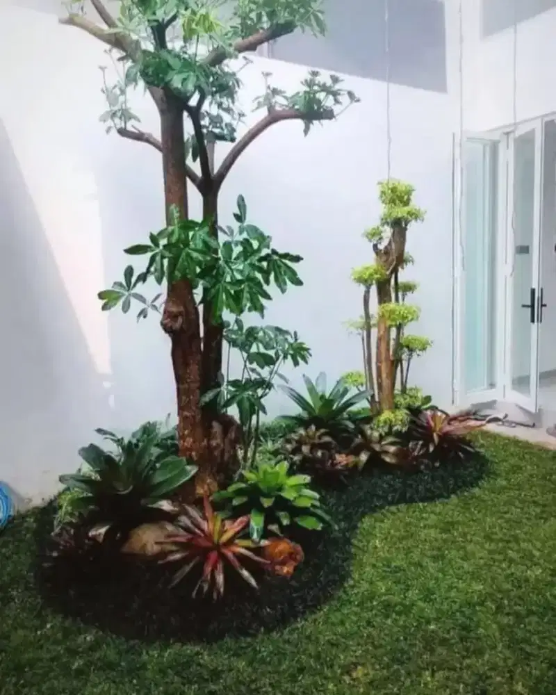 Rumput gajah mini/rumput taman