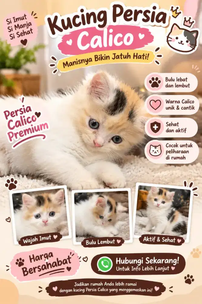 Persia Calico beli 1 free 1