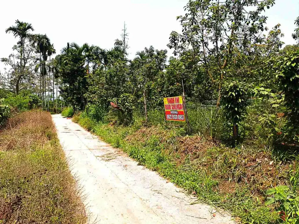 TANAH KAVLING DI GUNUNG AJI  KEC.WARKUK RANAU SELATAN, OKU SELATAN DAN HANYA 2KM DARI JALAN UTAMA PROVINSI