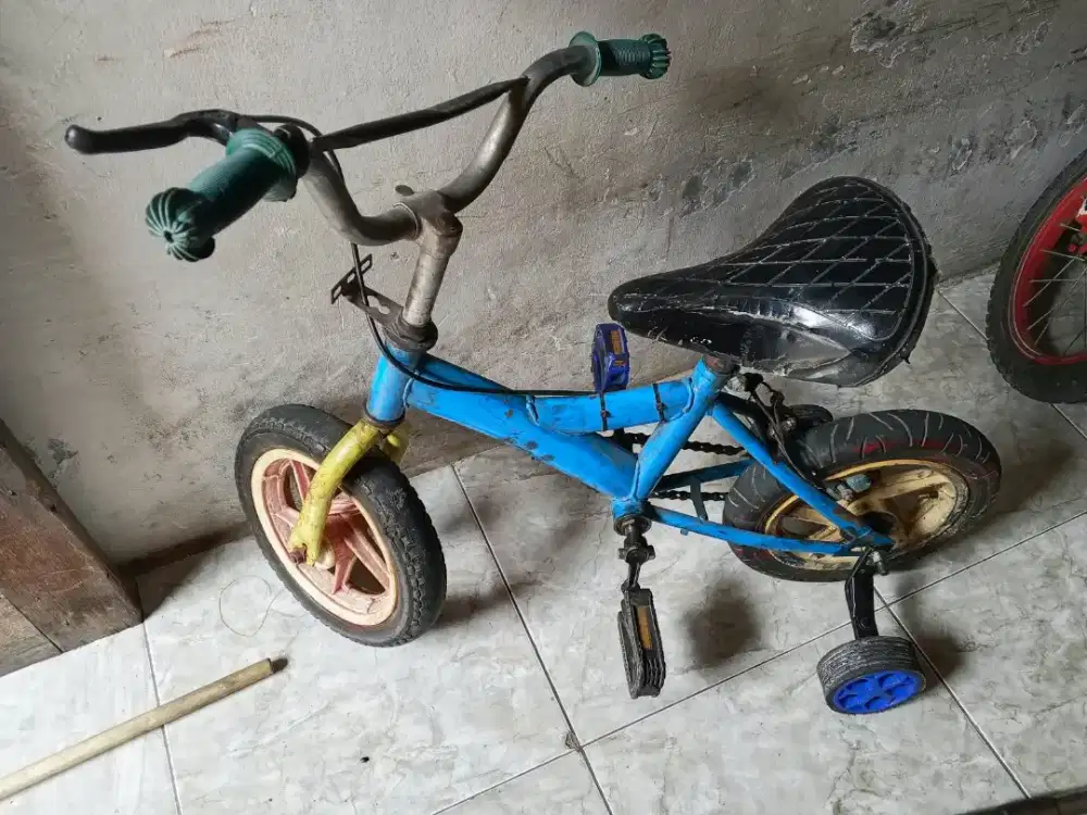 Sepeda anak laki