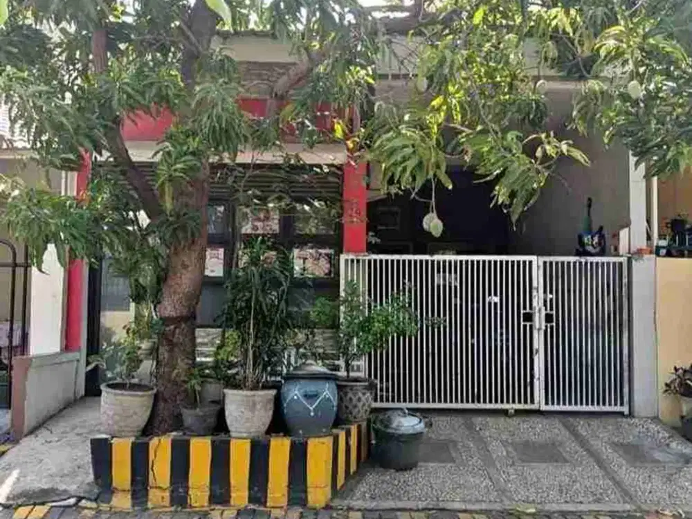 PANDUGO 1,5LT SIAP HUNI HRG 1MAN KECIL DKT MERR RUNGKUT PENJARINGAN
