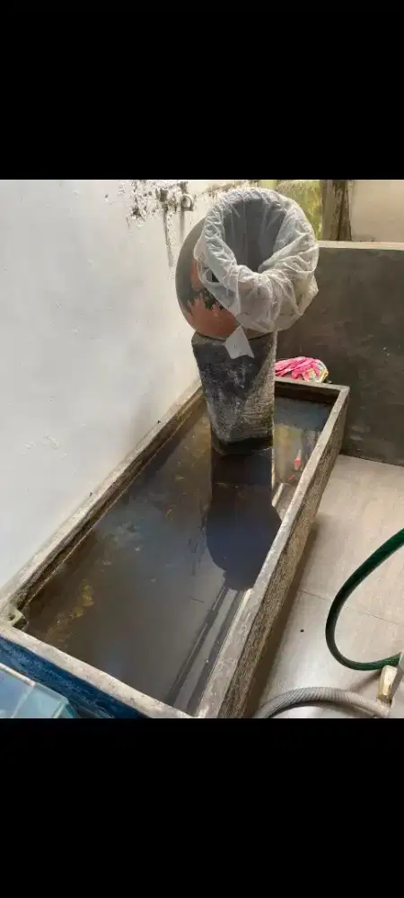 Kolam ikan hias garasi