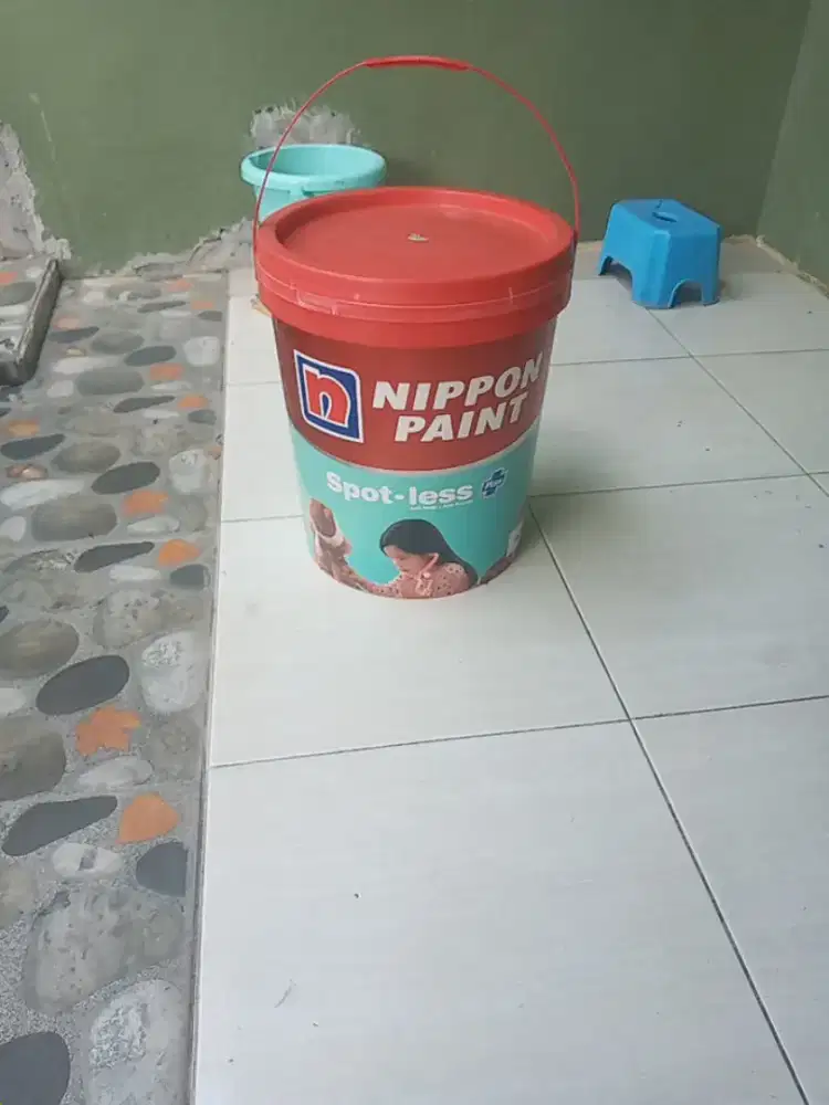 Cat Nippon Paint