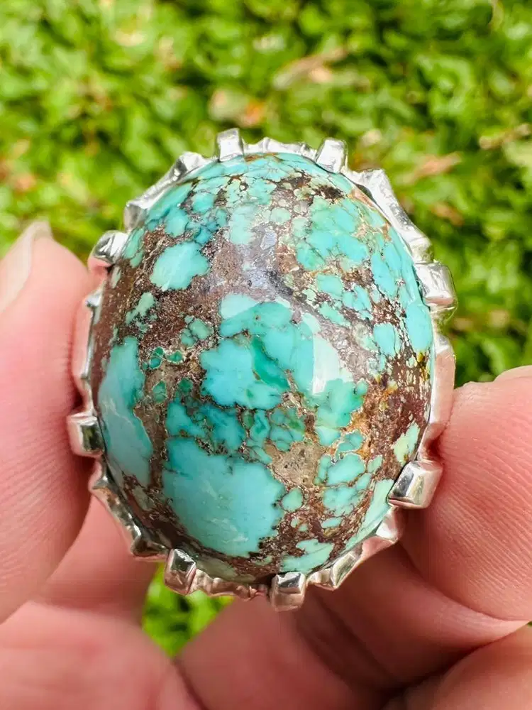 Pirus Persia Neyshabur
