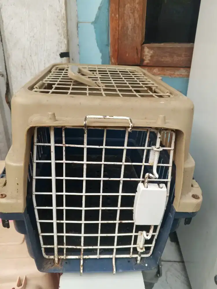 Pets cargo bekas