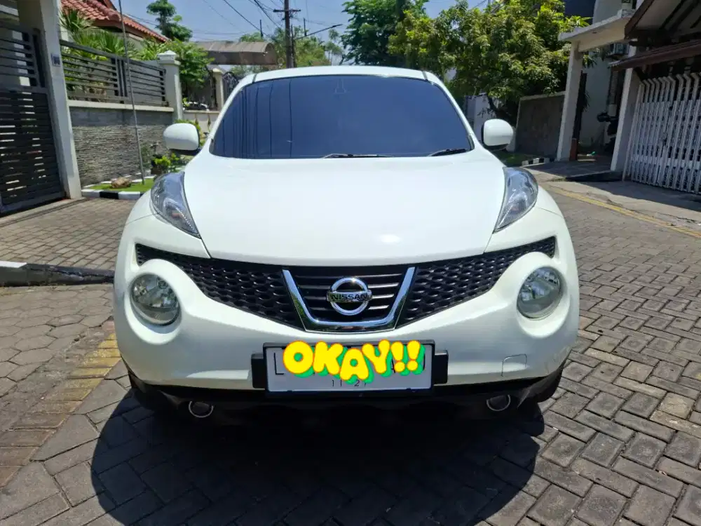 Nissan Juke RX 2011