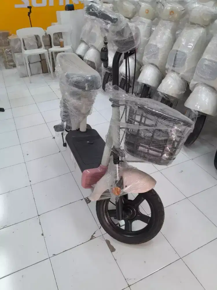 Jual sepeda listrik SUNRA motif poppy