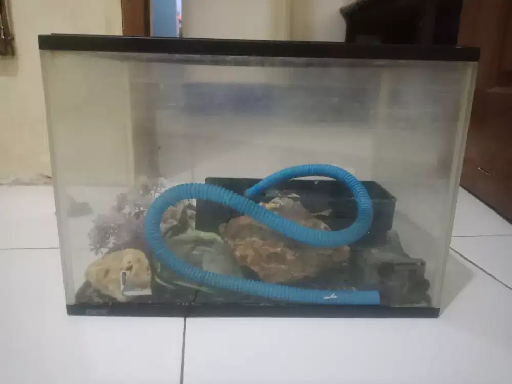 aquarium dan isinya