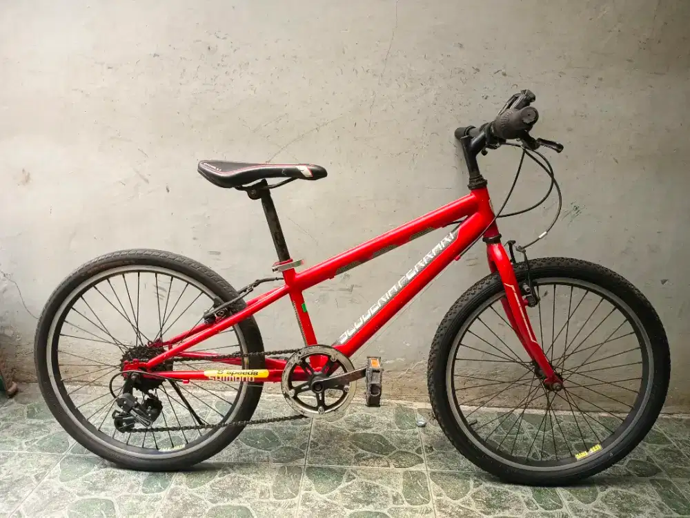 Ferrari mtb rims 22 dg 6sp normal lancar