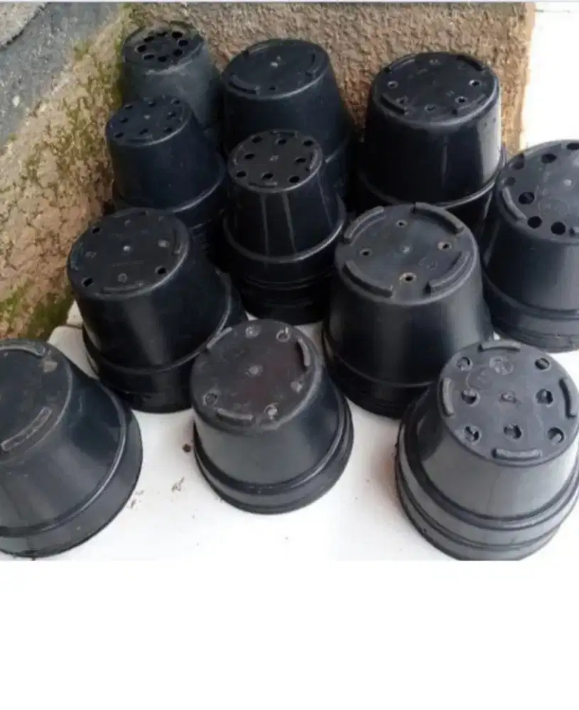 Pot Plastik Hitam 25 Pcs (Random)