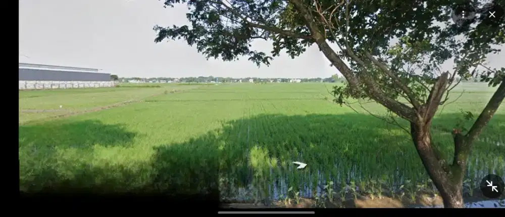 Jual Tanah Luas nol jalan di Bojonegoro SHM Pekarangan