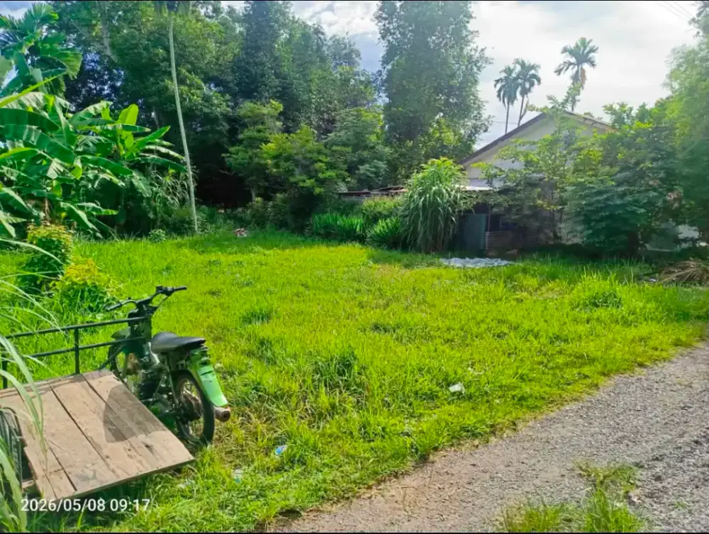 Tanah Dijual Cepat (Butuh Uang)