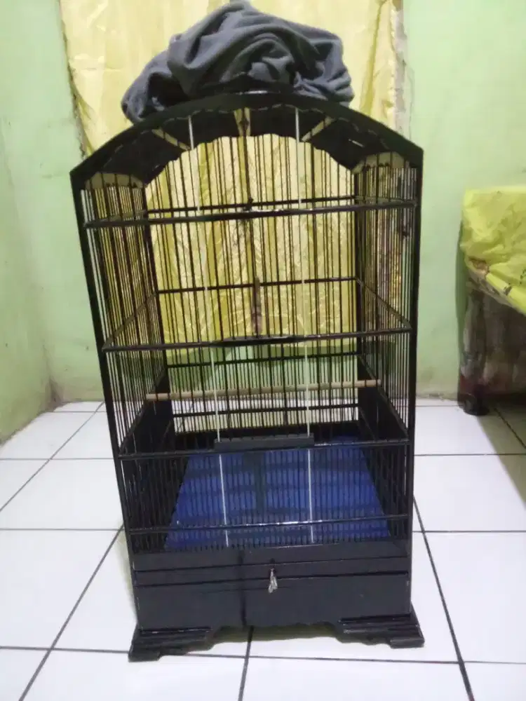 Kandang kosan nmr2 Masi gres