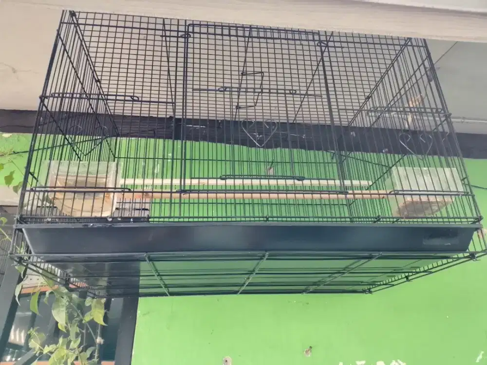 Jual sangkar lovebird