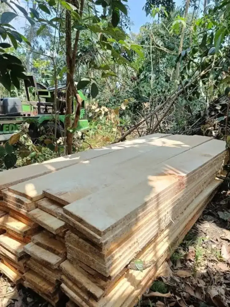 papan cor papan randu papaan kayu kapuk