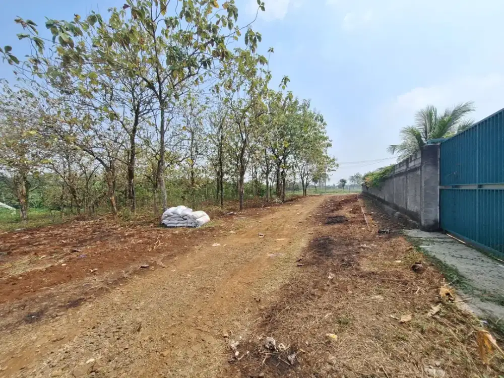 Tanah Kavling Termurah 100Jtan SHM di Bomang - Cocok Invest/Hunian - 10 Menit Stasiun Bojong Gede