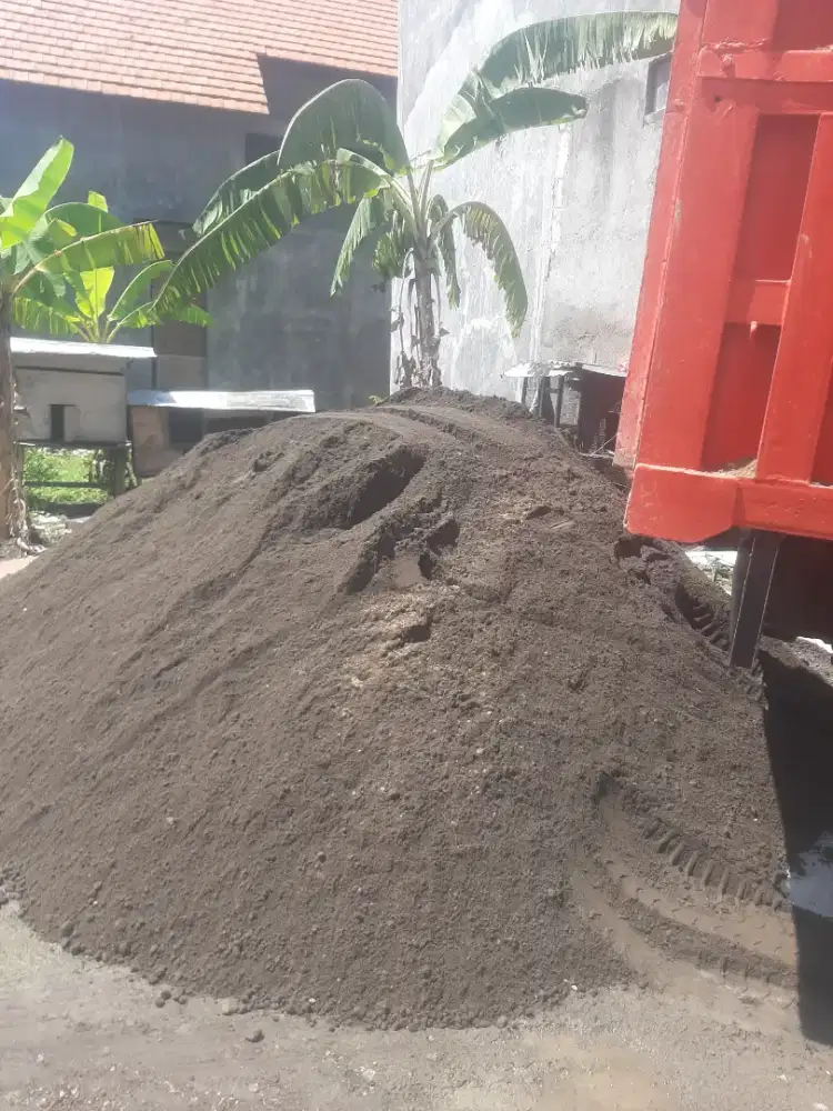 SIRTU AYAK, SIRTU URUK, PASIR KEDIRI, KORAL, PASIR LUMAJANG