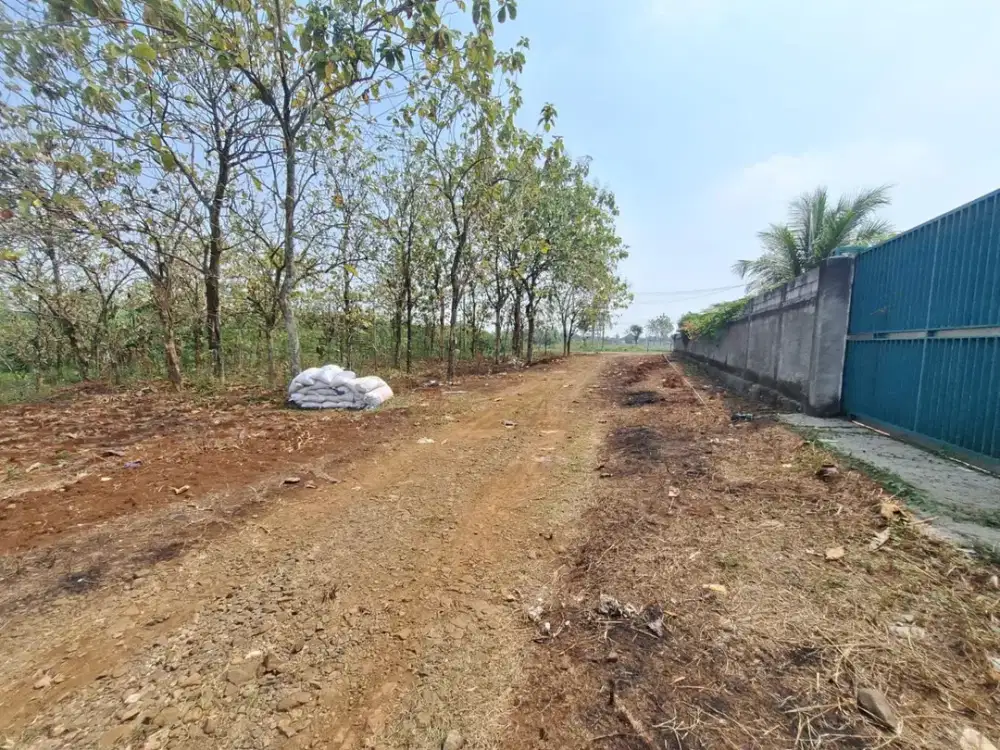 Tanah Murah 9 Menit SMA Negeri 1 Tajurhalang, Cocok Untuk Hunian