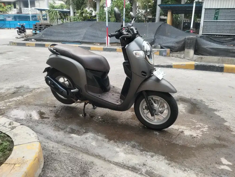 Scoopy stylish 2018