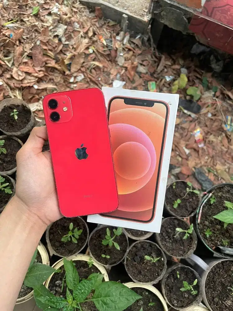 Iphone 12 Inter 64GB