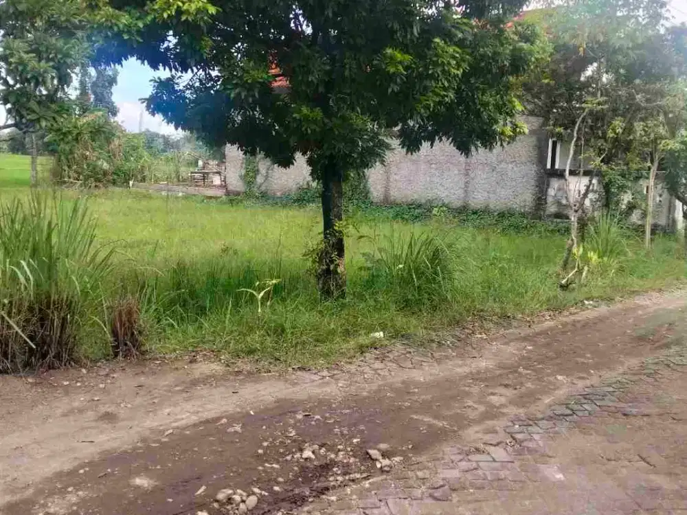 tanah Ngawi