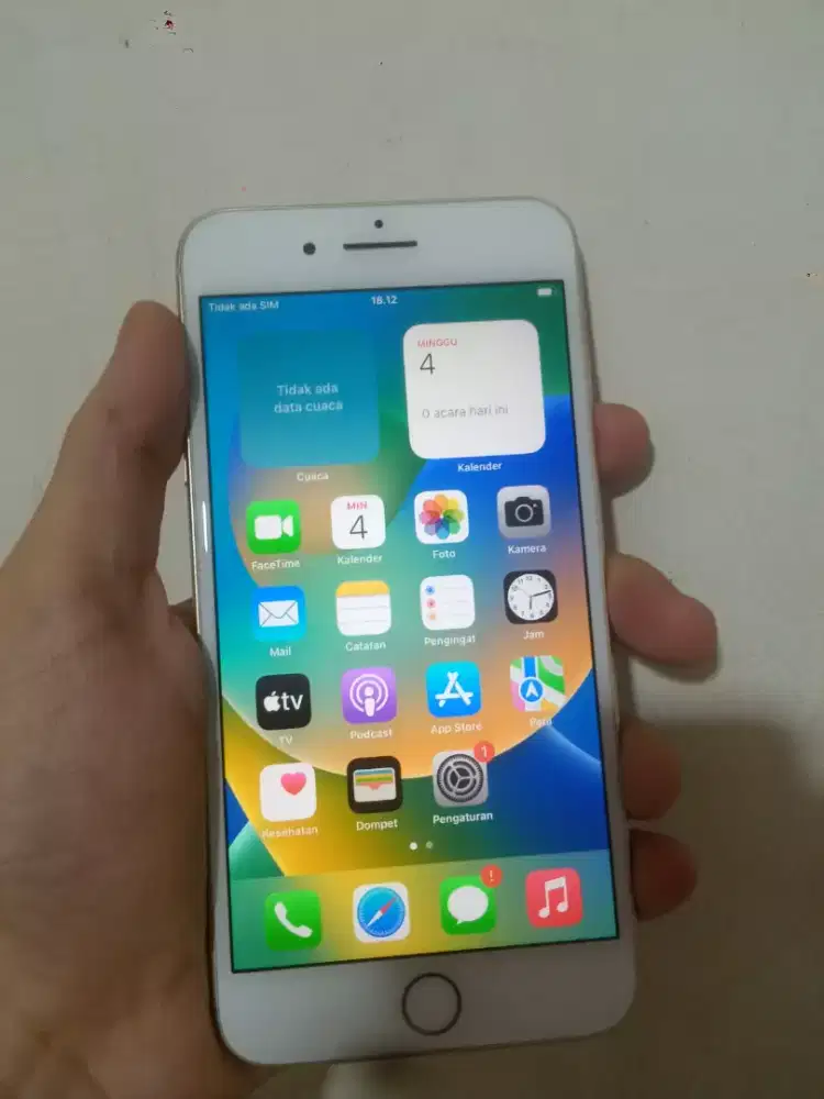 iPhone 8 plus 64gb wifi only