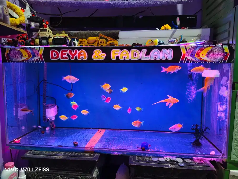 Aquarium Set Ukuran 1 Meter