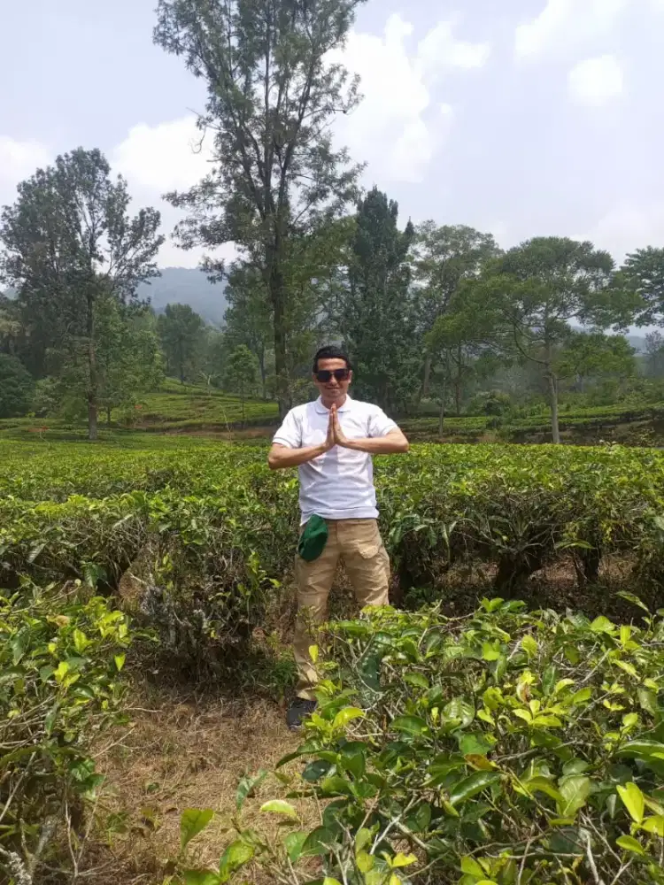 Barangkali ada job yg penitng dpt cuan buat keluarga