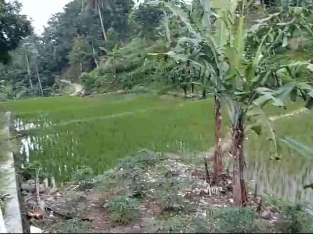 Lokasi sejuk Buat villa jauh dr keramain di Sukamakmur bogor timur