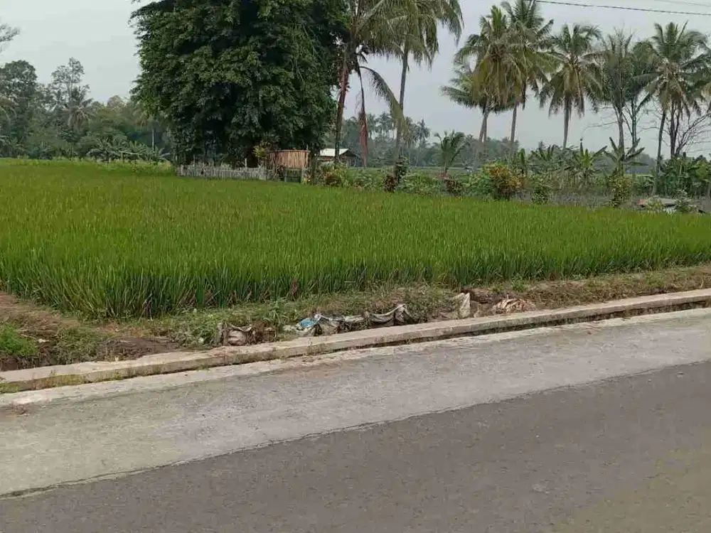 Tanah Strategis Bagus Di Pakis Malang