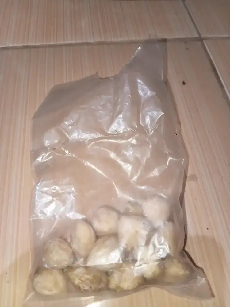 Bumbu dapur / kemiri