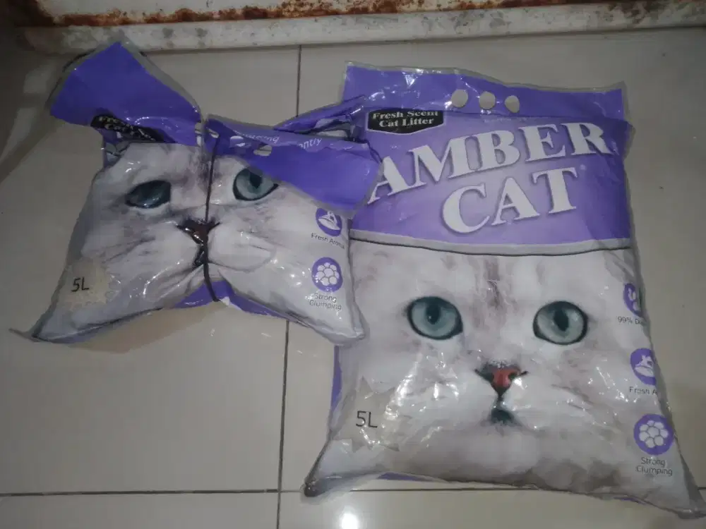 Pasir kucing gratis