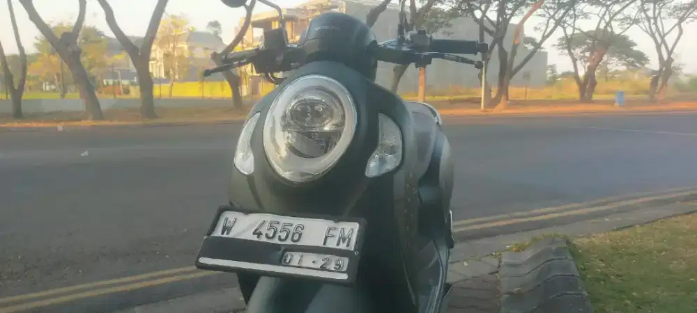 Honda scoopy tahun 2024