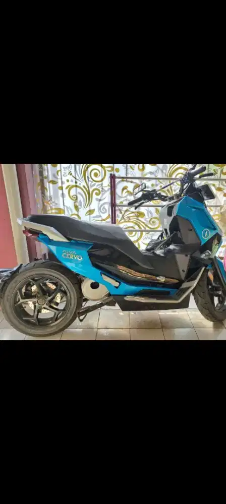 Alva Cervo Terawat Jarang Pakai