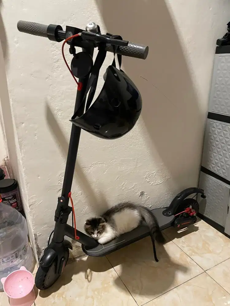 scooter ebuy 7.8