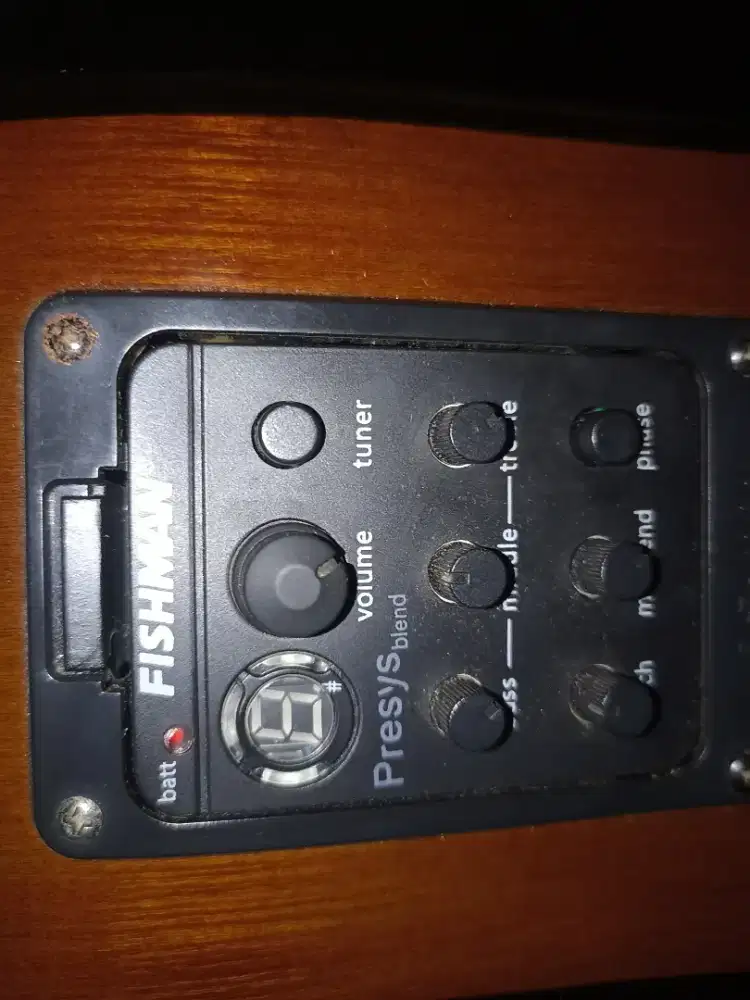 Gitar Akustik Elektrik Yamaha F310