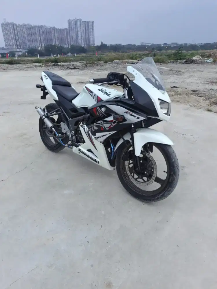 Kawasaki ninja rr 2013 (SE)