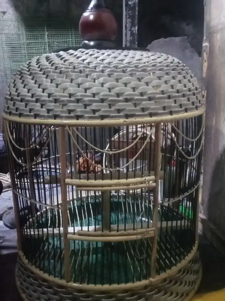 Sangkar perkutut baru semi Mataraman