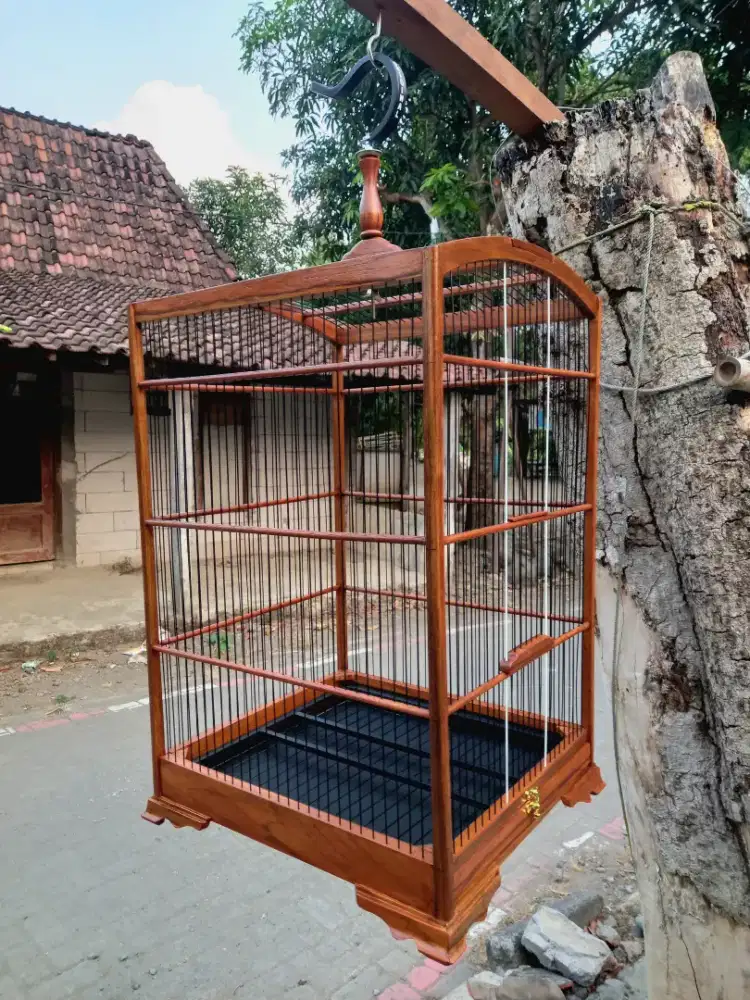 sangkar jati baru