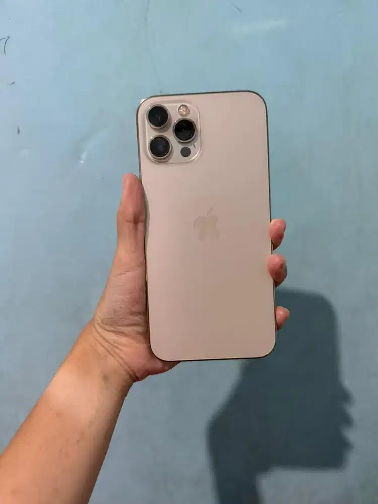 FS!!! iphone 12 promax 512 ex inter