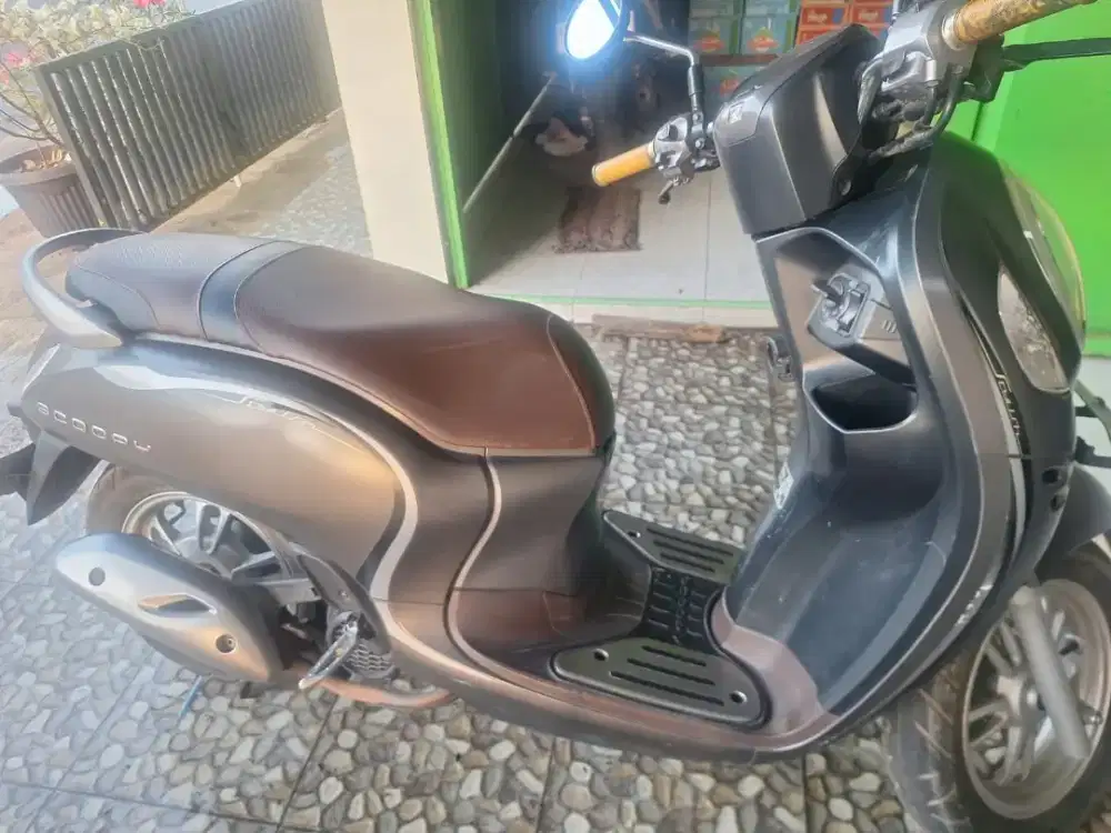 Scoopy Stylish 2022