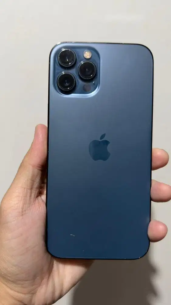 Iphone 12 Pro Max 256gb (Inter)