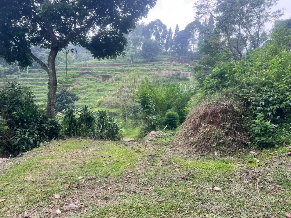 Dijual tanah murah bogor